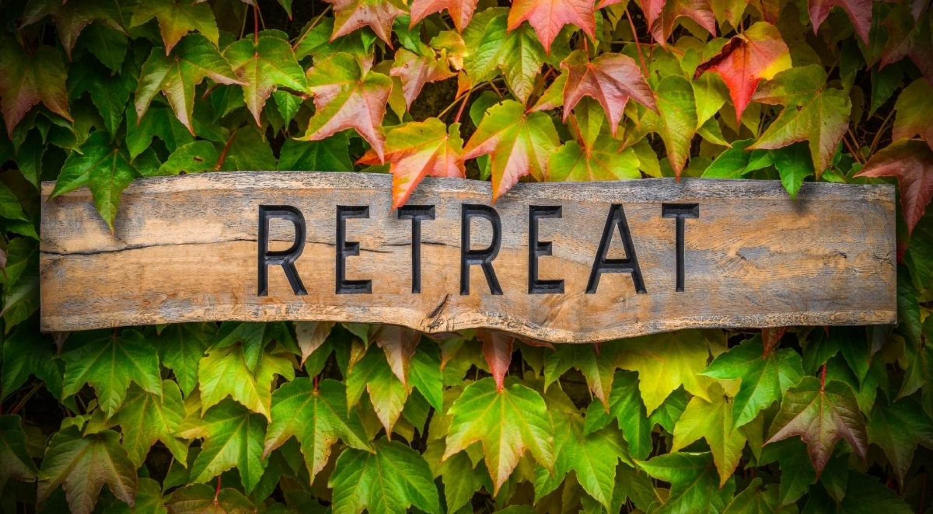 Retreats Are the Perfect Way to Bond with Your Small Group